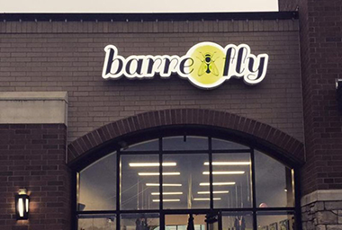 Barre Fly